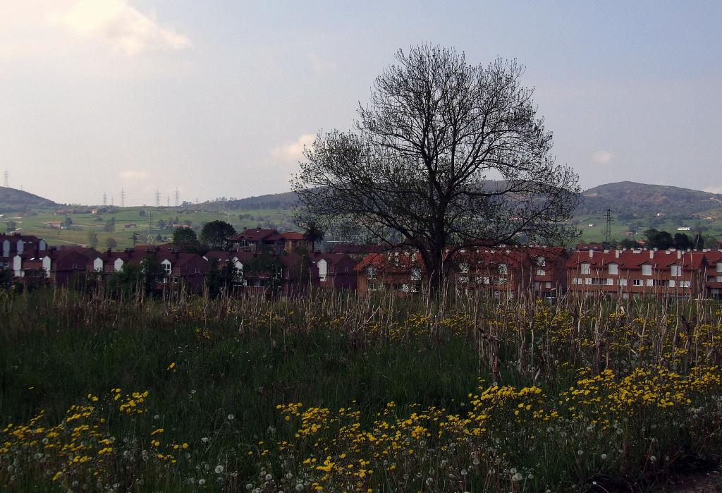 Foto de Arenal de Penagos (Cantabria), España