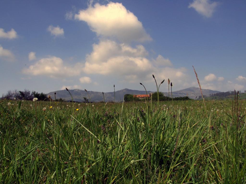 Foto de Arenal de Penagos (Cantabria), España