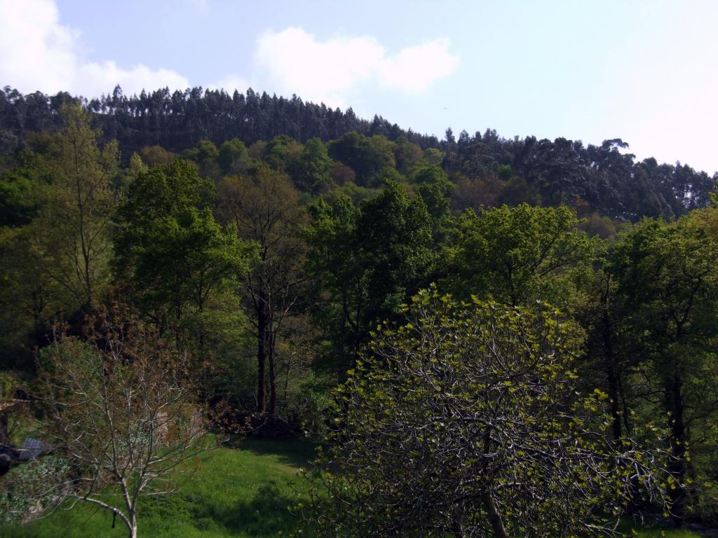 Foto de Arenal de Penagos (Cantabria), España