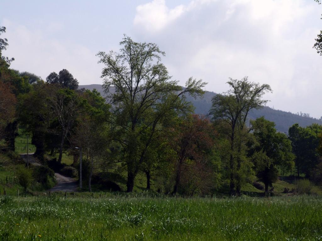 Foto de Arenal de Penagos (Cantabria), España