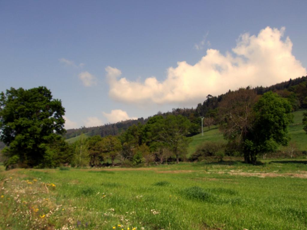 Foto de Arenal de Penagos (Cantabria), España