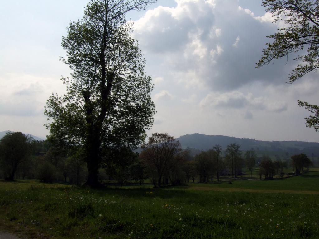 Foto de Arenal de Penagos (Cantabria), España