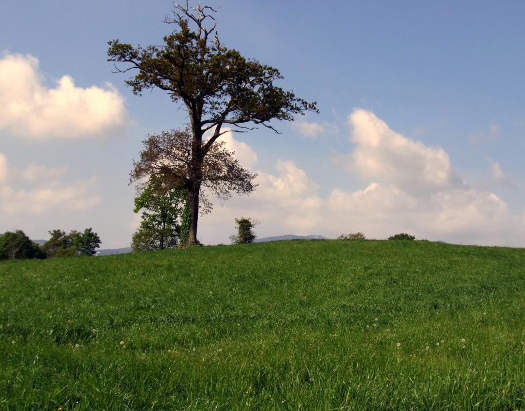 Foto de Arenal de Penagos (Cantabria), España