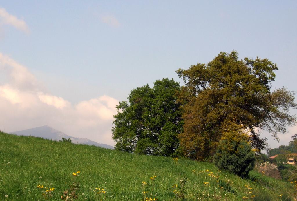 Foto de Arenal de Penagos (Cantabria), España