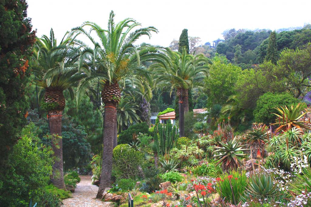 Foto de Blanes (Girona), España