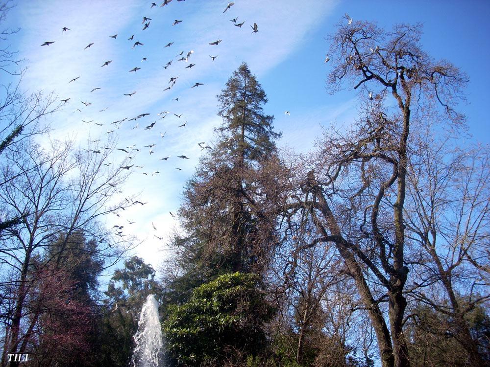 Foto de Oviedo (Asturias), España