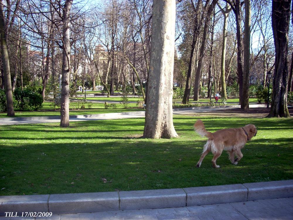 Foto de Oviedo (Asturias), España