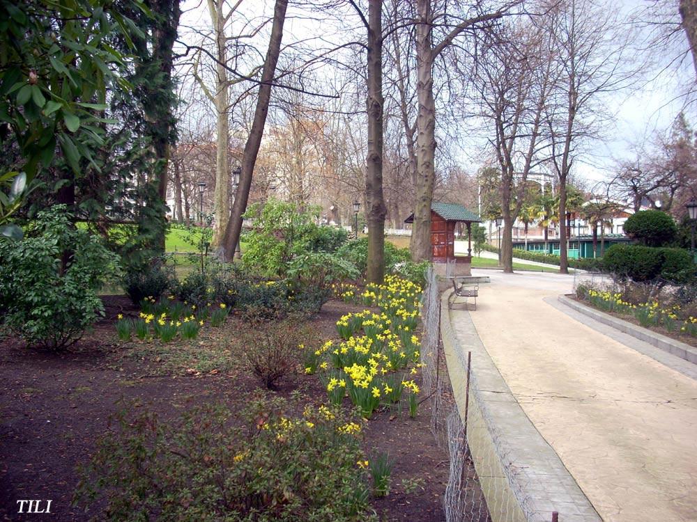 Foto de Oviedo (Asturias), España