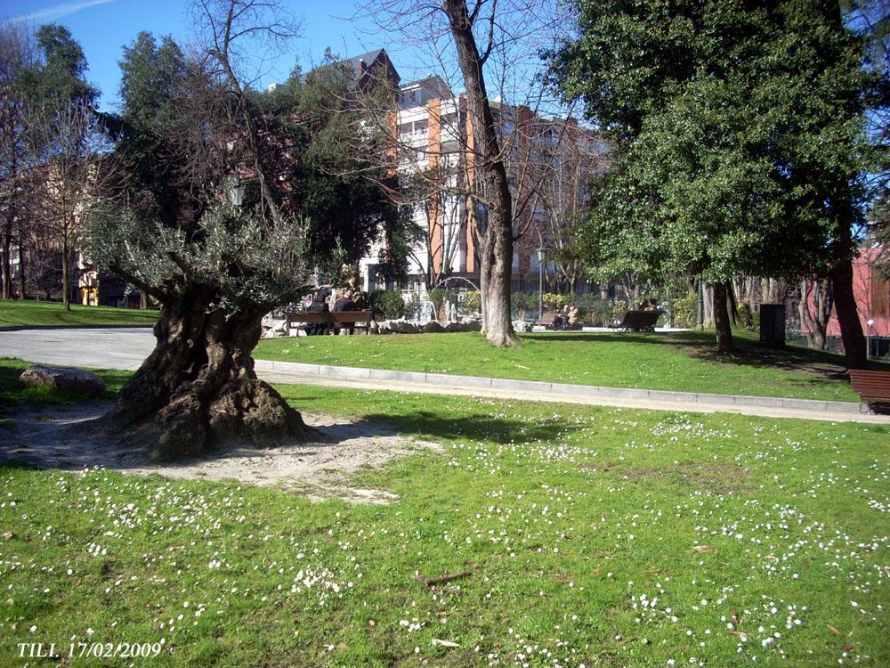 Foto de Oviedo (Asturias), España