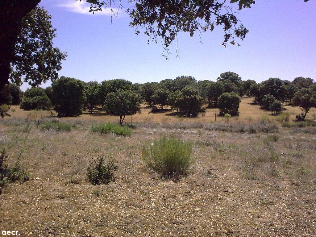 Foto de Quijorna (Madrid), España