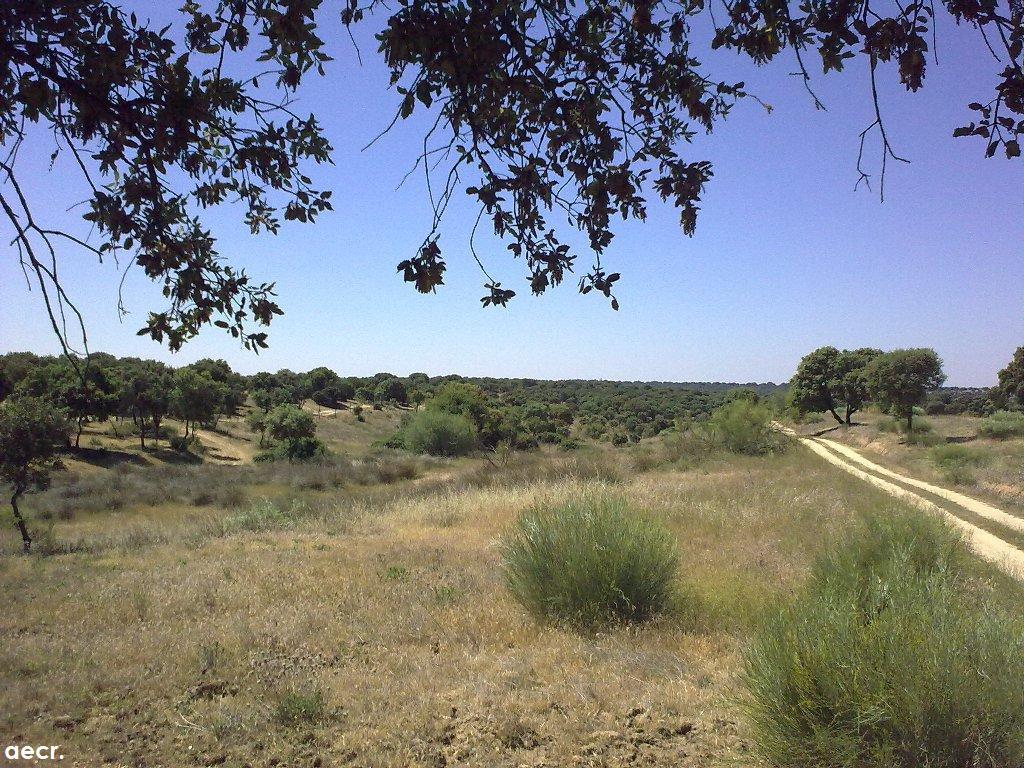 Foto de Quijorna (Madrid), España