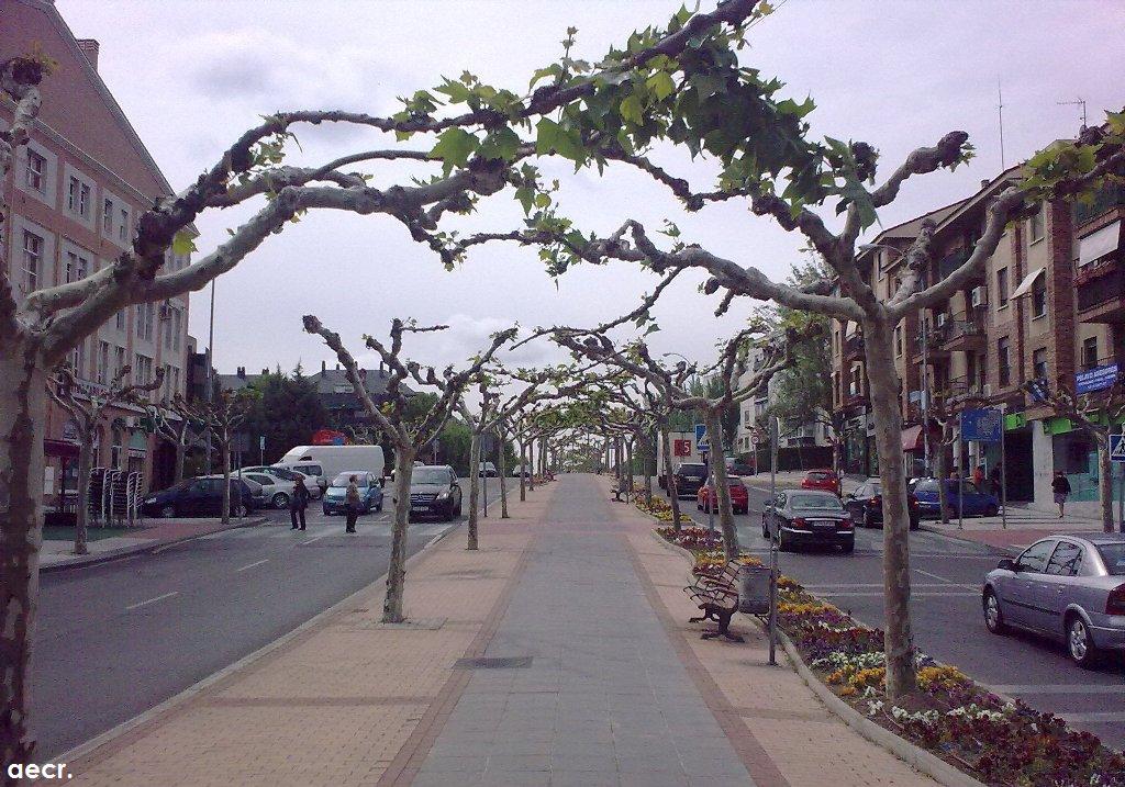 Foto de Majadahonda (Madrid), España