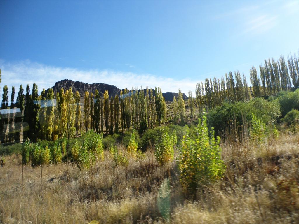 Foto de Aluminé (Neuquén), Argentina