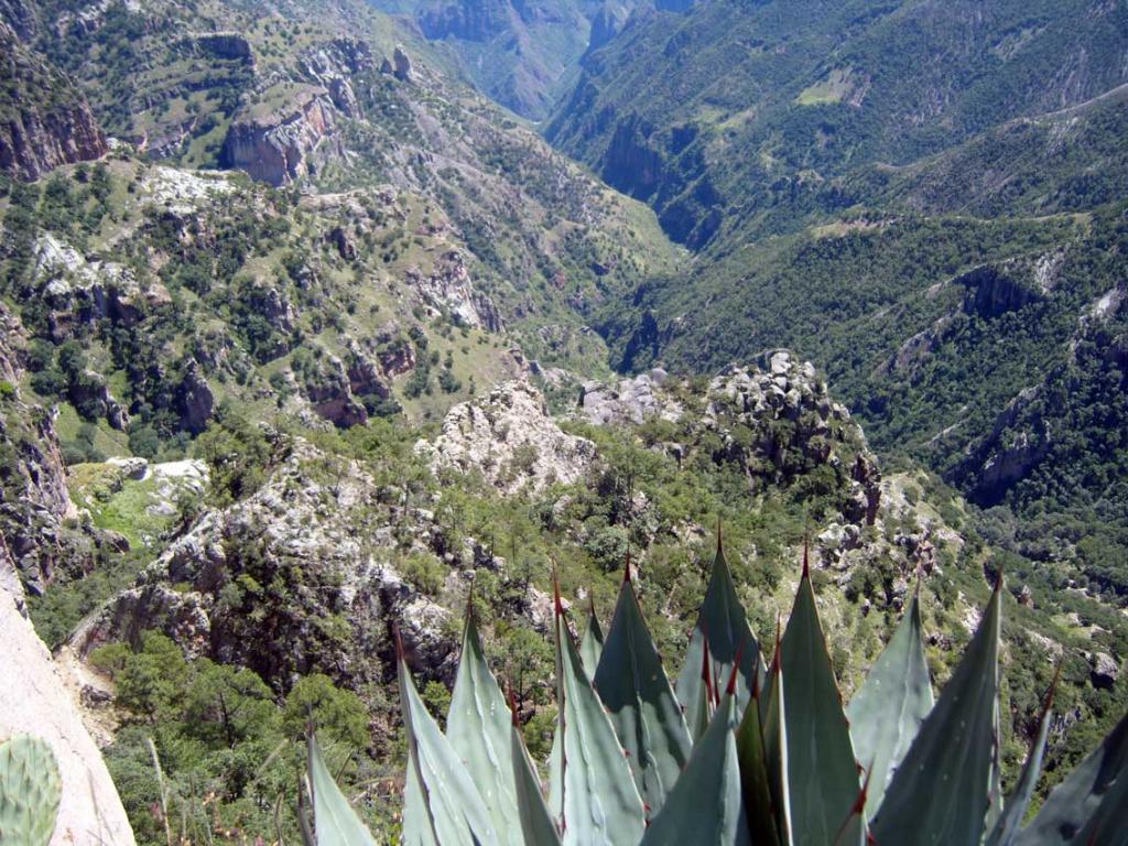 Foto de Creel, México