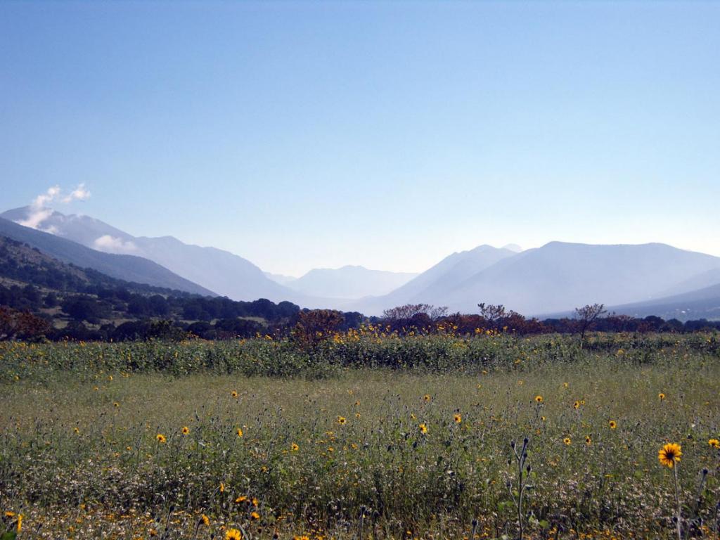 Foto de Saltillo, México