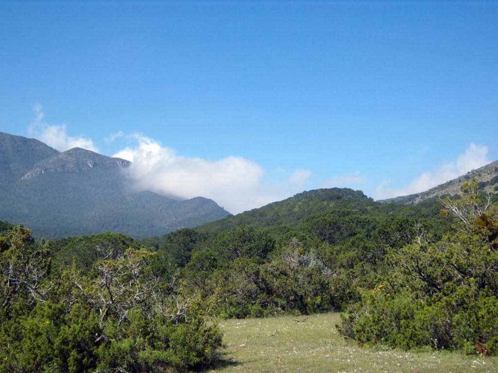 Foto de Saltillo, México