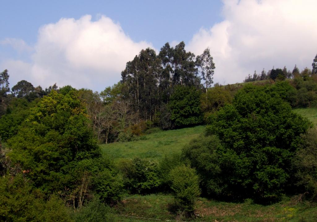 Foto de Arenal de Penagos (Cantabria), España