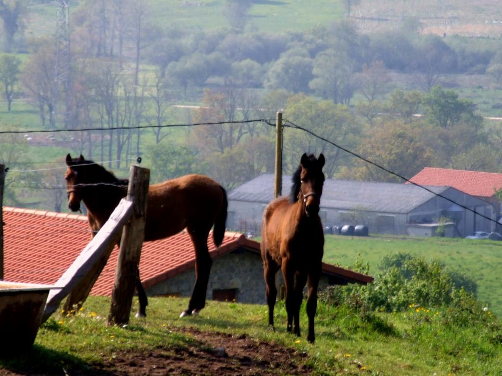 Foto de Arenal de Penagos (Cantabria), España