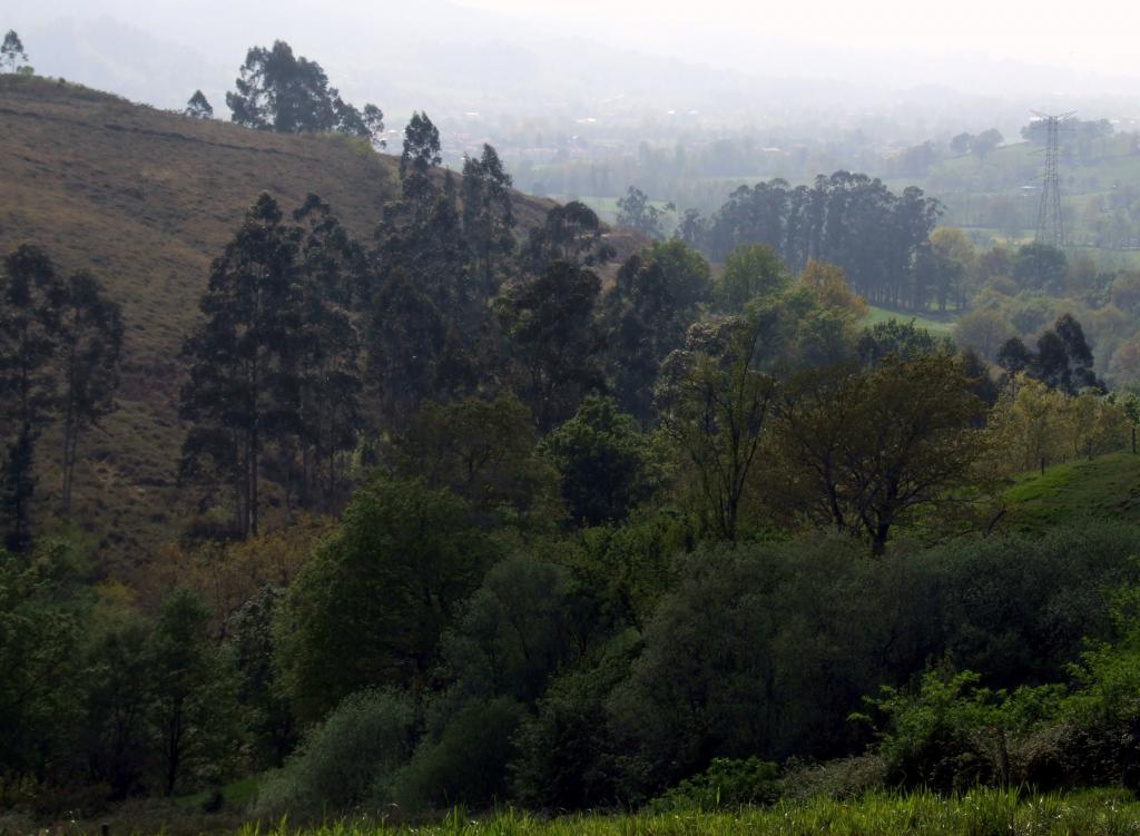 Foto de Arenal de Penagos (Cantabria), España