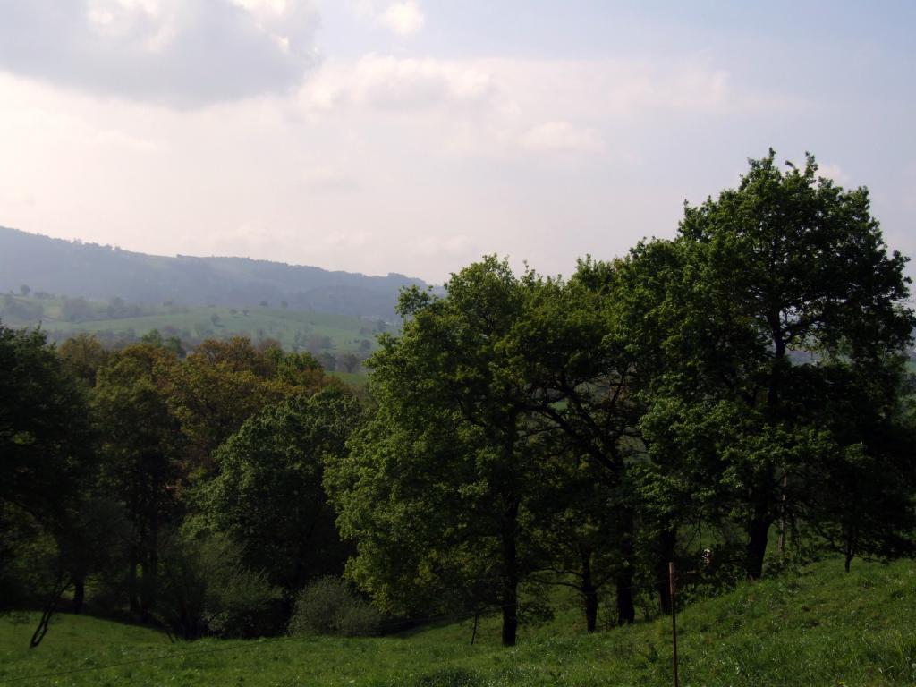 Foto de Arenal de Penagos (Cantabria), España