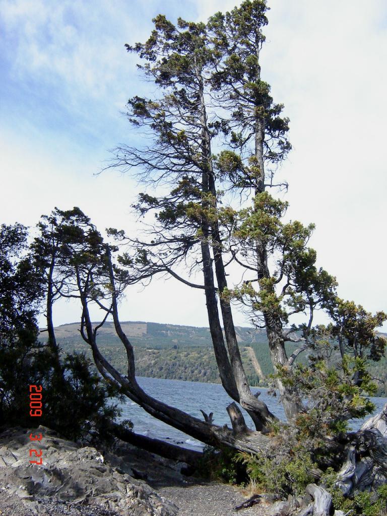 Foto de San Martín de los Andes (Neuquén), Argentina