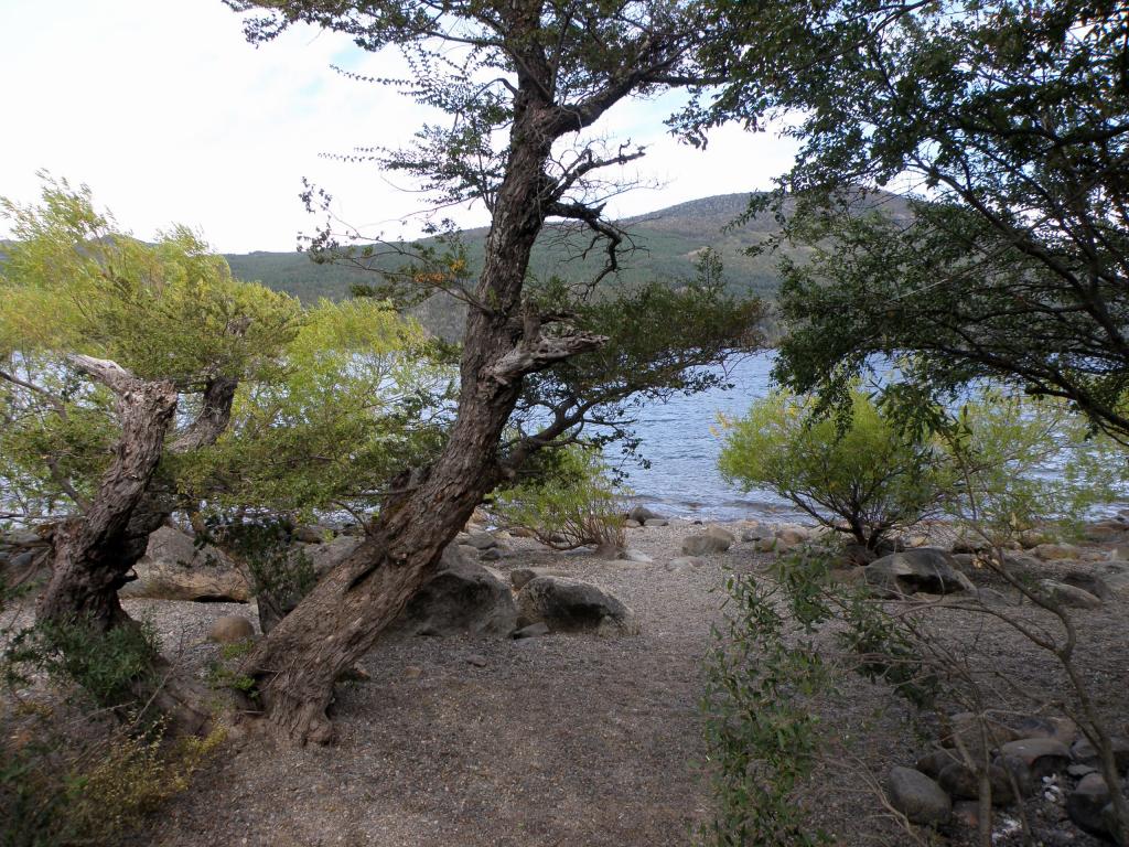 Foto de San Martín de los Andes (Neuquén), Argentina