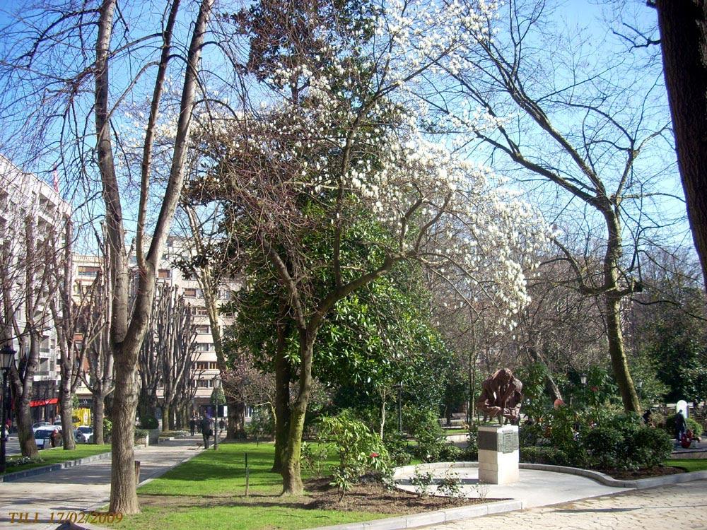 Foto de Oviedo (Asturias), España