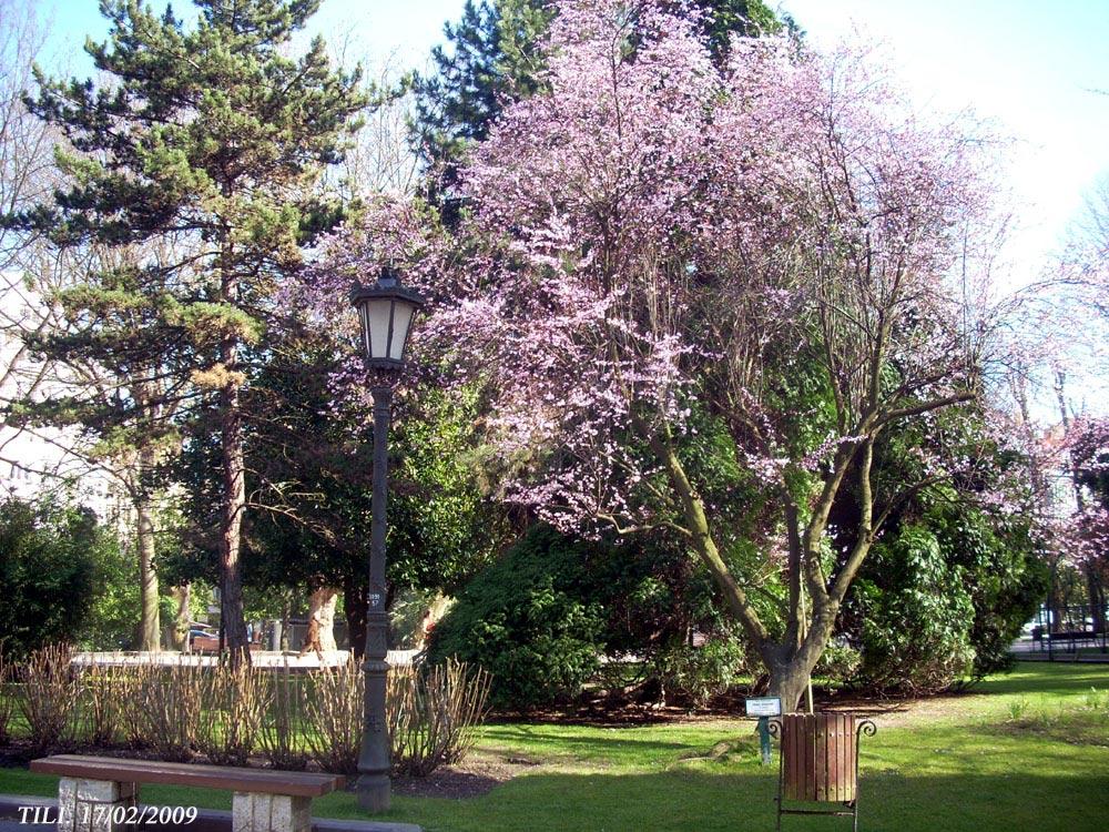 Foto de Oviedo (Asturias), España