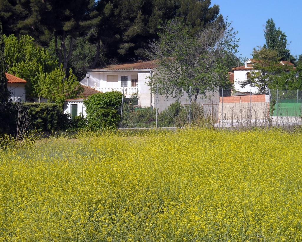 Foto de Albacete (Castilla La Mancha), España