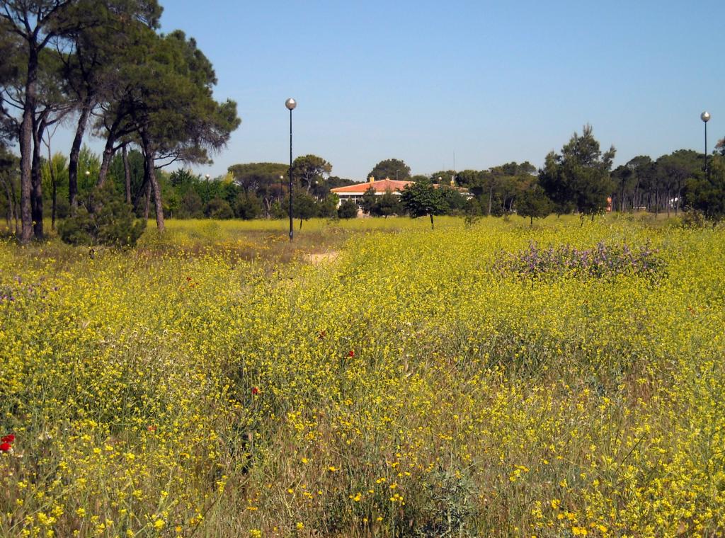 Foto de Albacete (Castilla La Mancha), España