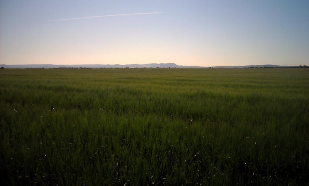 Foto de Albacete (Castilla La Mancha), España