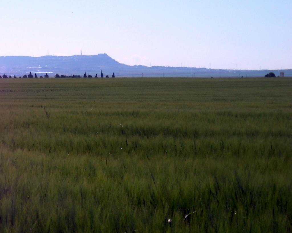 Foto de Albacete (Castilla La Mancha), España