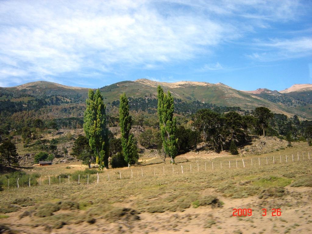 Foto de Aluminé (Neuquén), Argentina