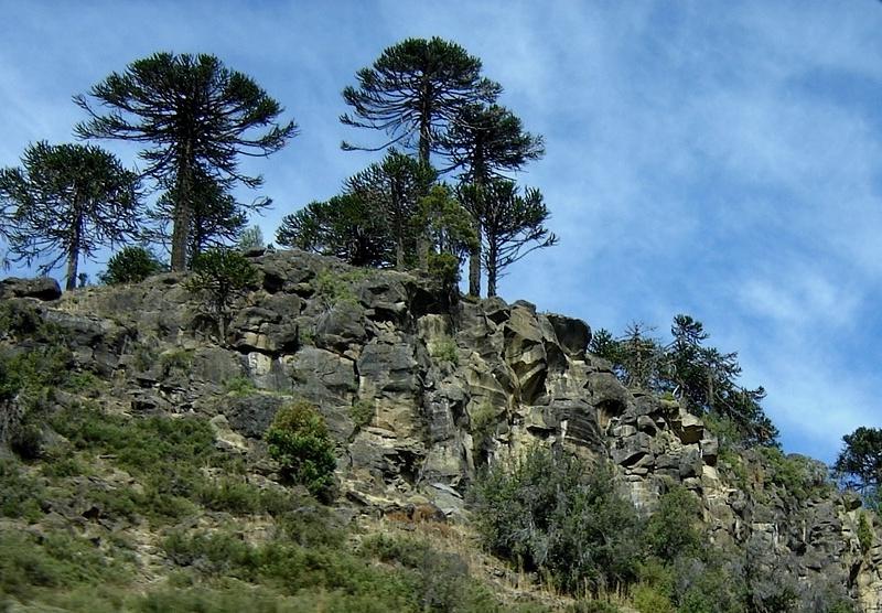 Foto de Aluminé (Neuquén), Argentina