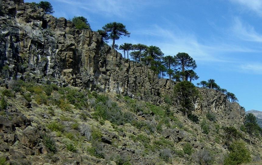 Foto de Aluminé (Neuquén), Argentina