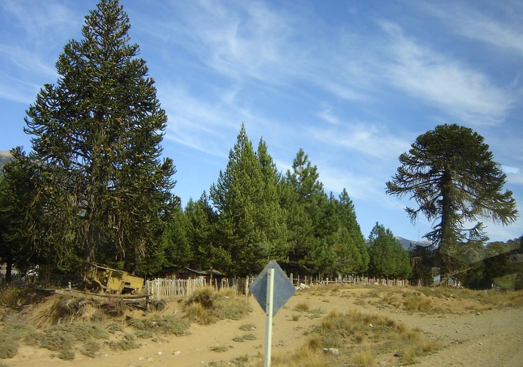 Foto de Aluminé (Neuquén), Argentina