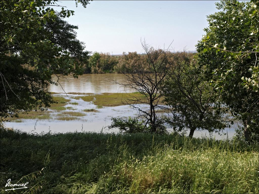 Foto de Fuentes de Ebro (Zaragoza), España