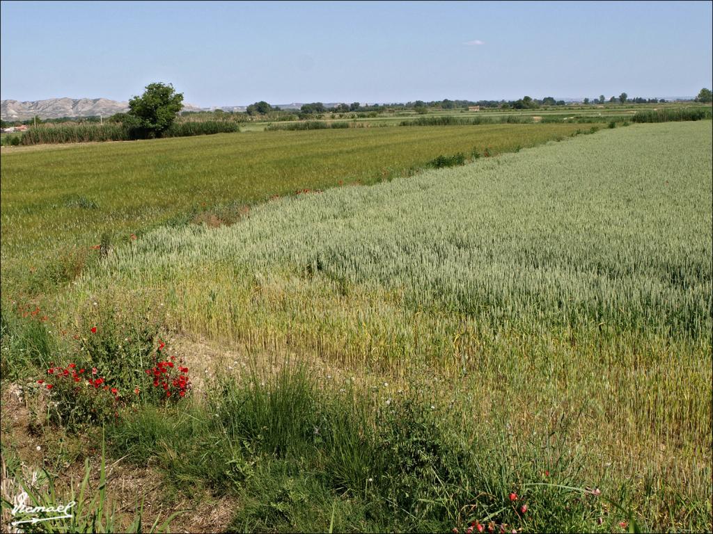 Foto de Fuentes de Ebro (Zaragoza), España