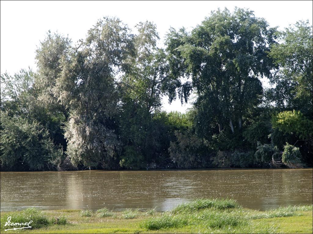 Foto de Fuentes de Ebro (Zaragoza), España