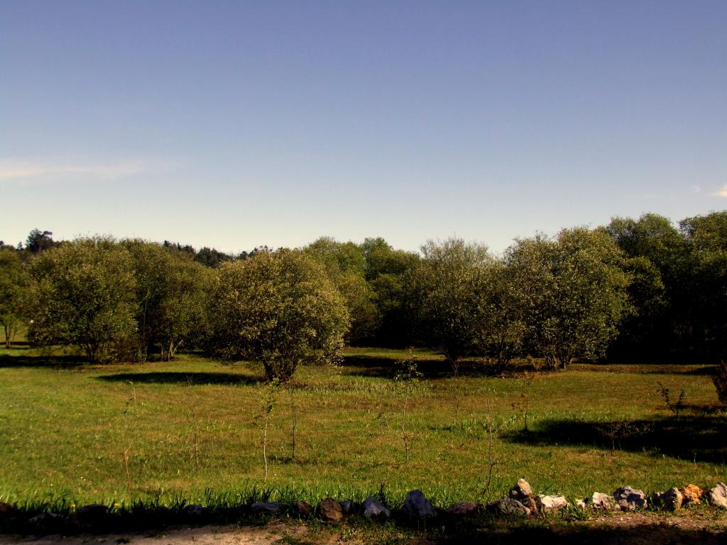 Foto de Astillero (Cantabria), España