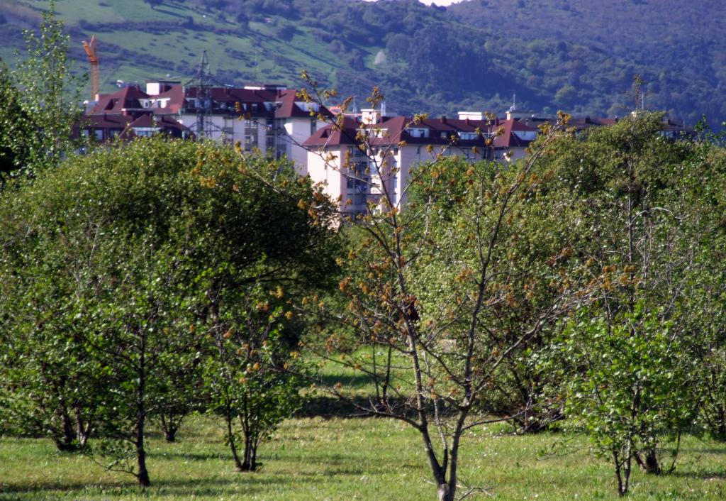 Foto de Astillero (Cantabria), España