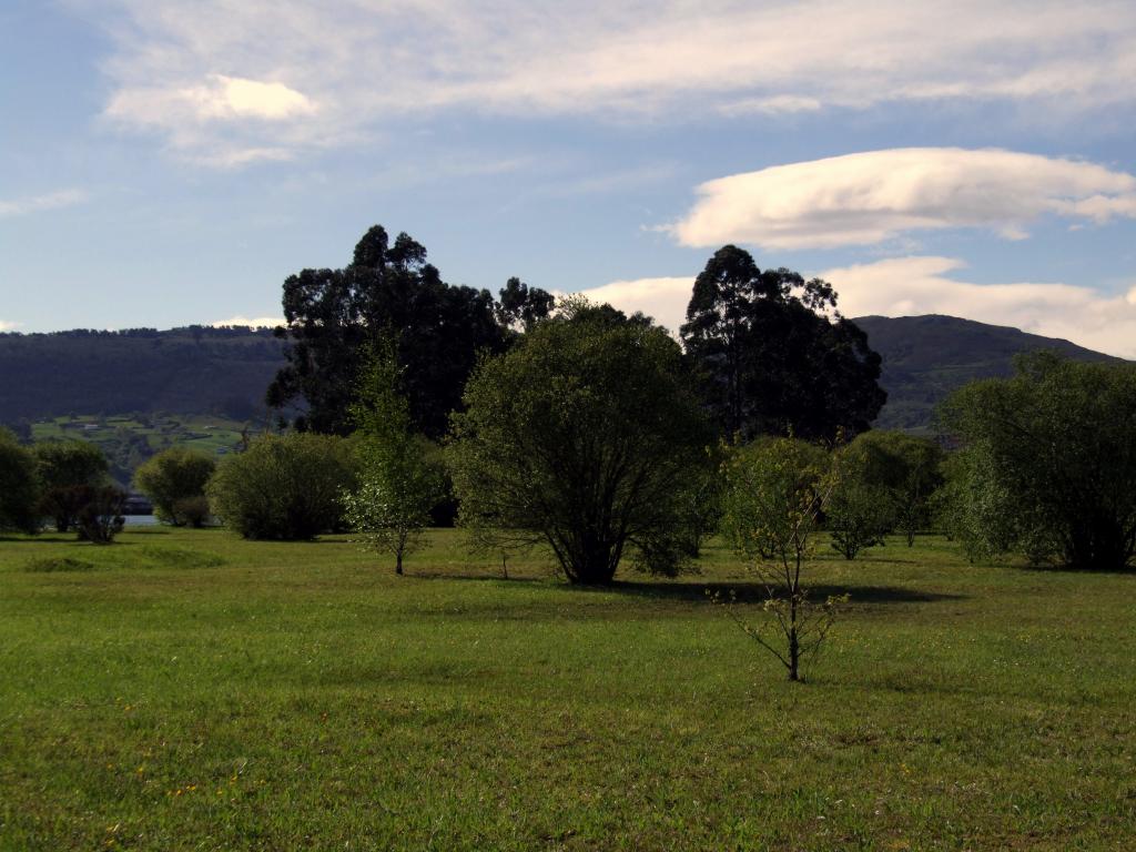 Foto de Astillero (Cantabria), España