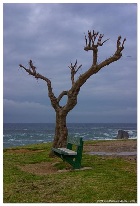 Foto de Noja (Cantabria), España