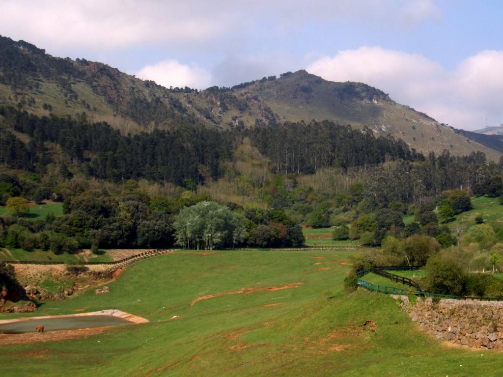 Foto de Cabarceno (Cantabria), España