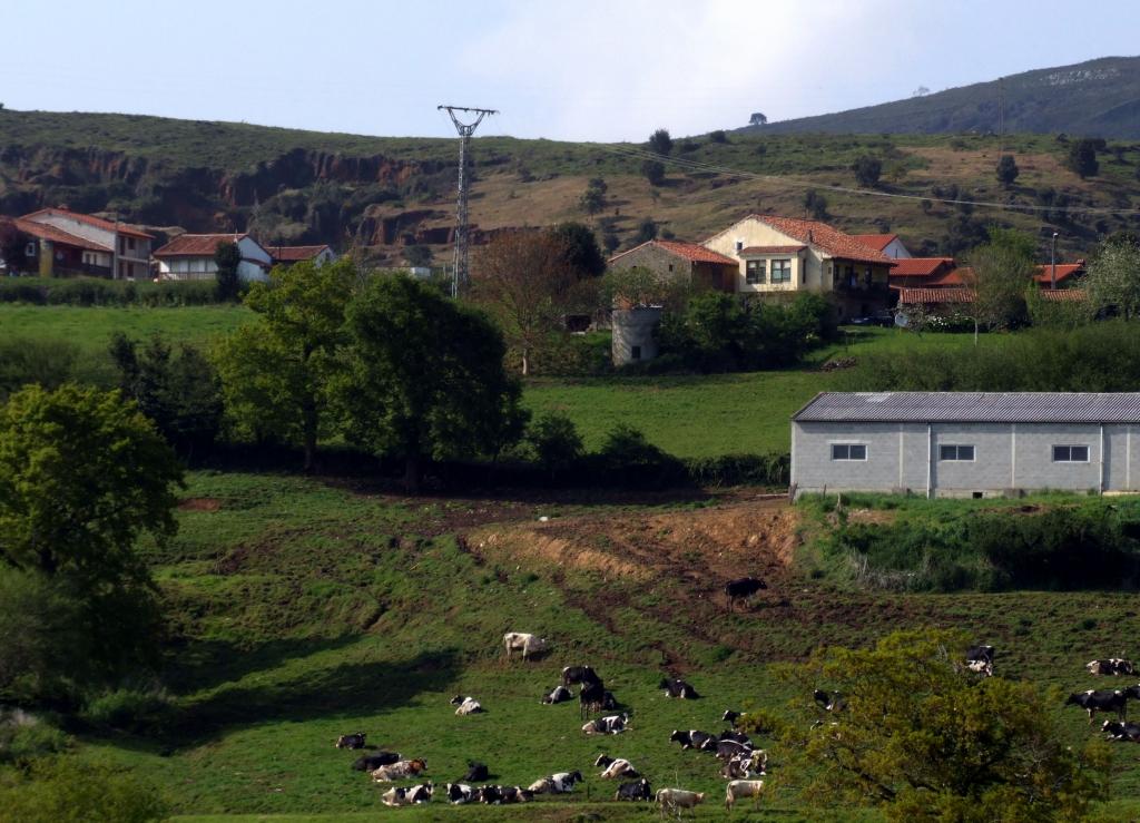 Foto de Cabarceno (Cantabria), España