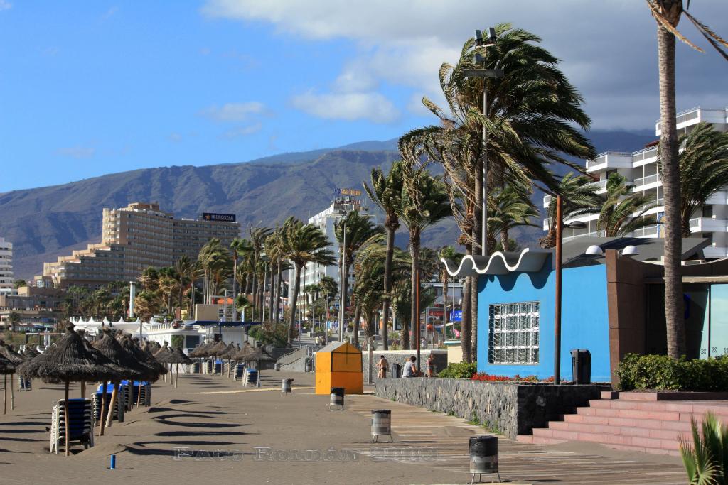 Foto de Arona (Santa Cruz de Tenerife), España