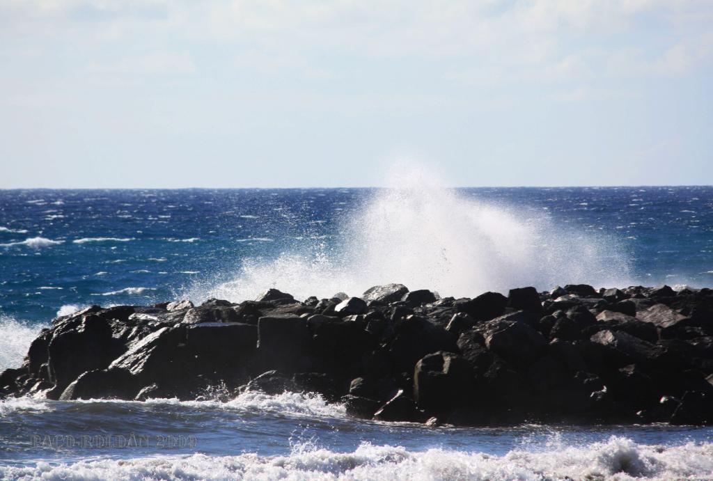 Foto de Arona (Santa Cruz de Tenerife), España