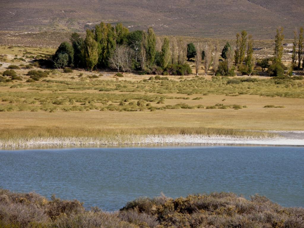 Foto de Junín de los Andes (Neuquén), Argentina