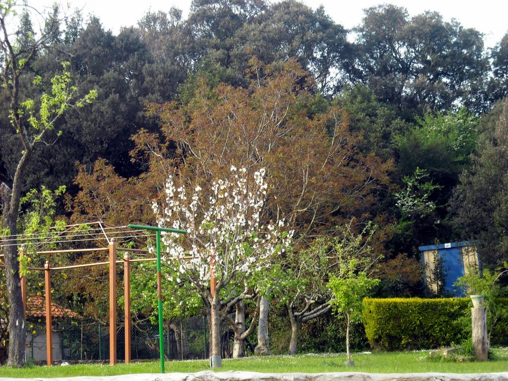 Foto de Elechas (Cantabria), España