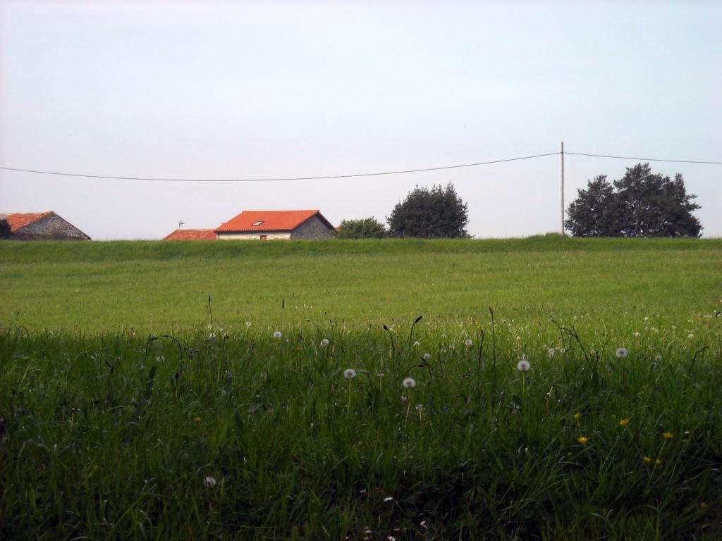 Foto de Gajano (Cantabria), España